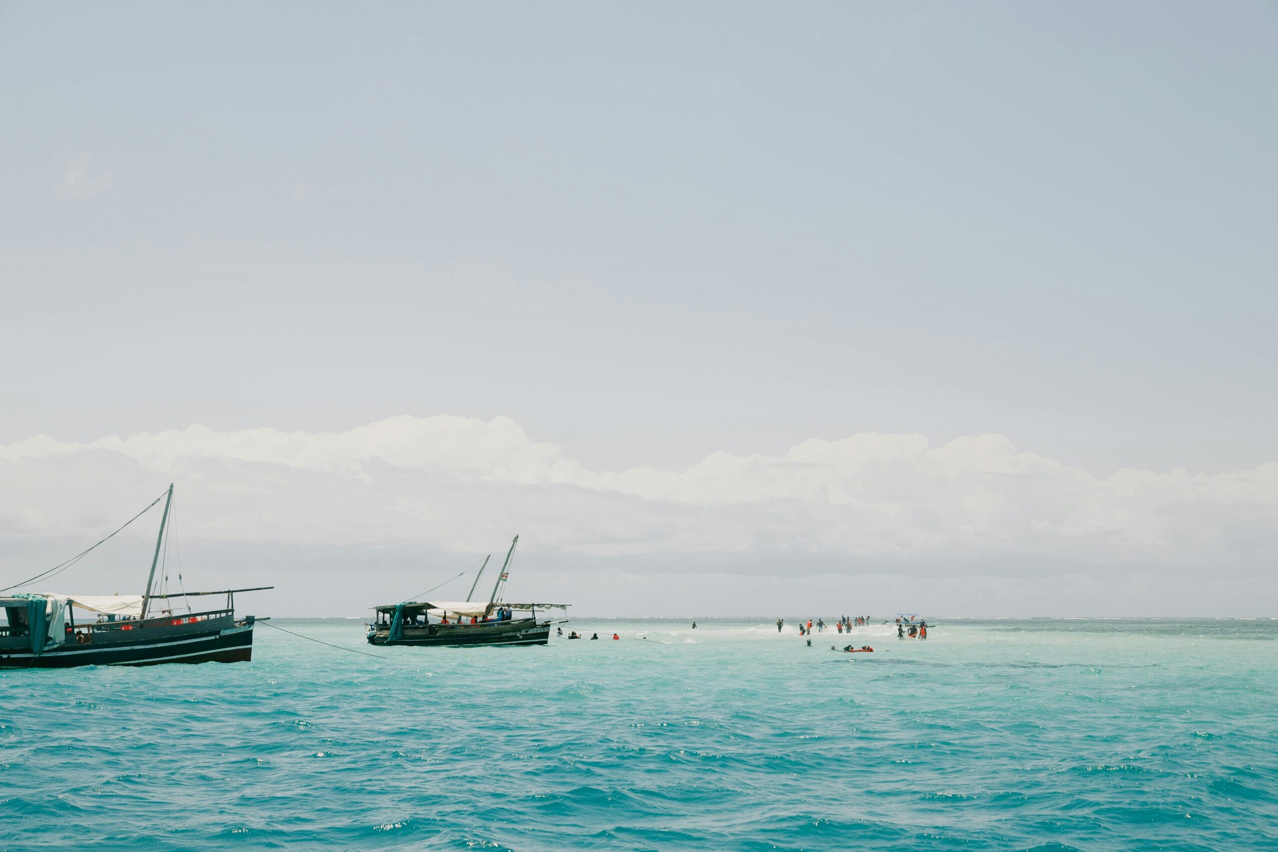 Best Time to Visit East Africa: Month-by-Month Guide