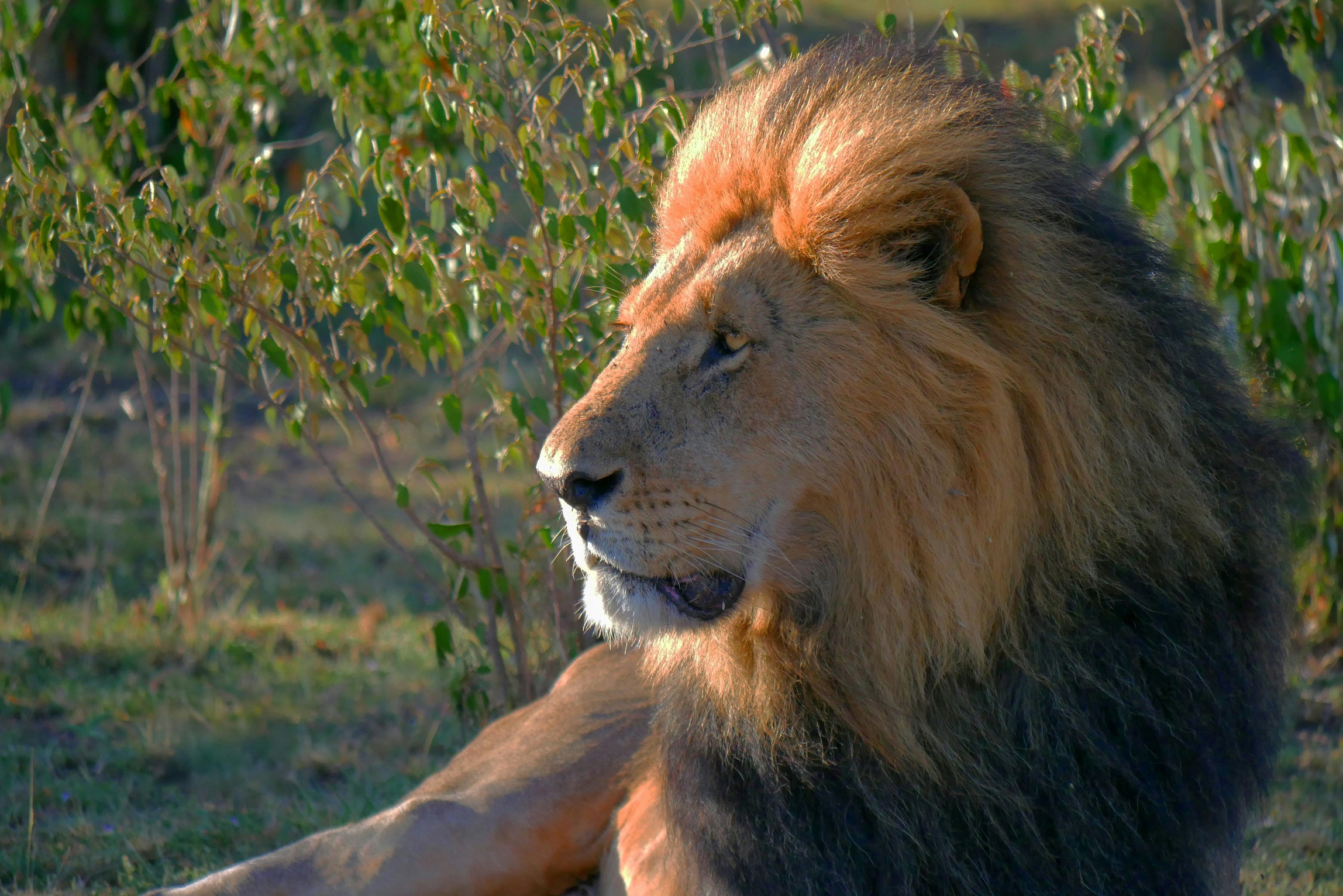 Kenya’s Top Tourist Destinations