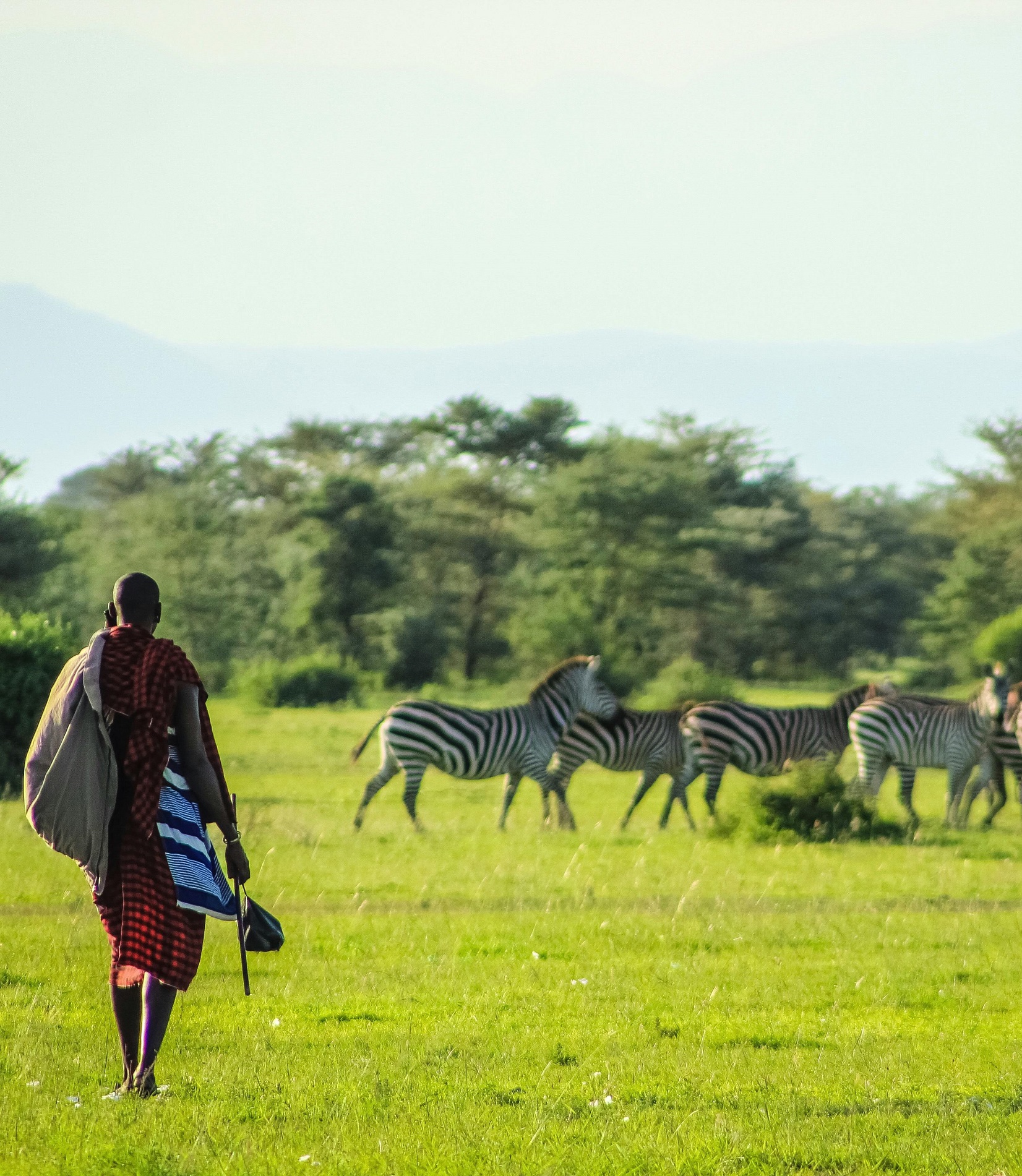 The Maasai People – Culture, Traditions, and Way of Life