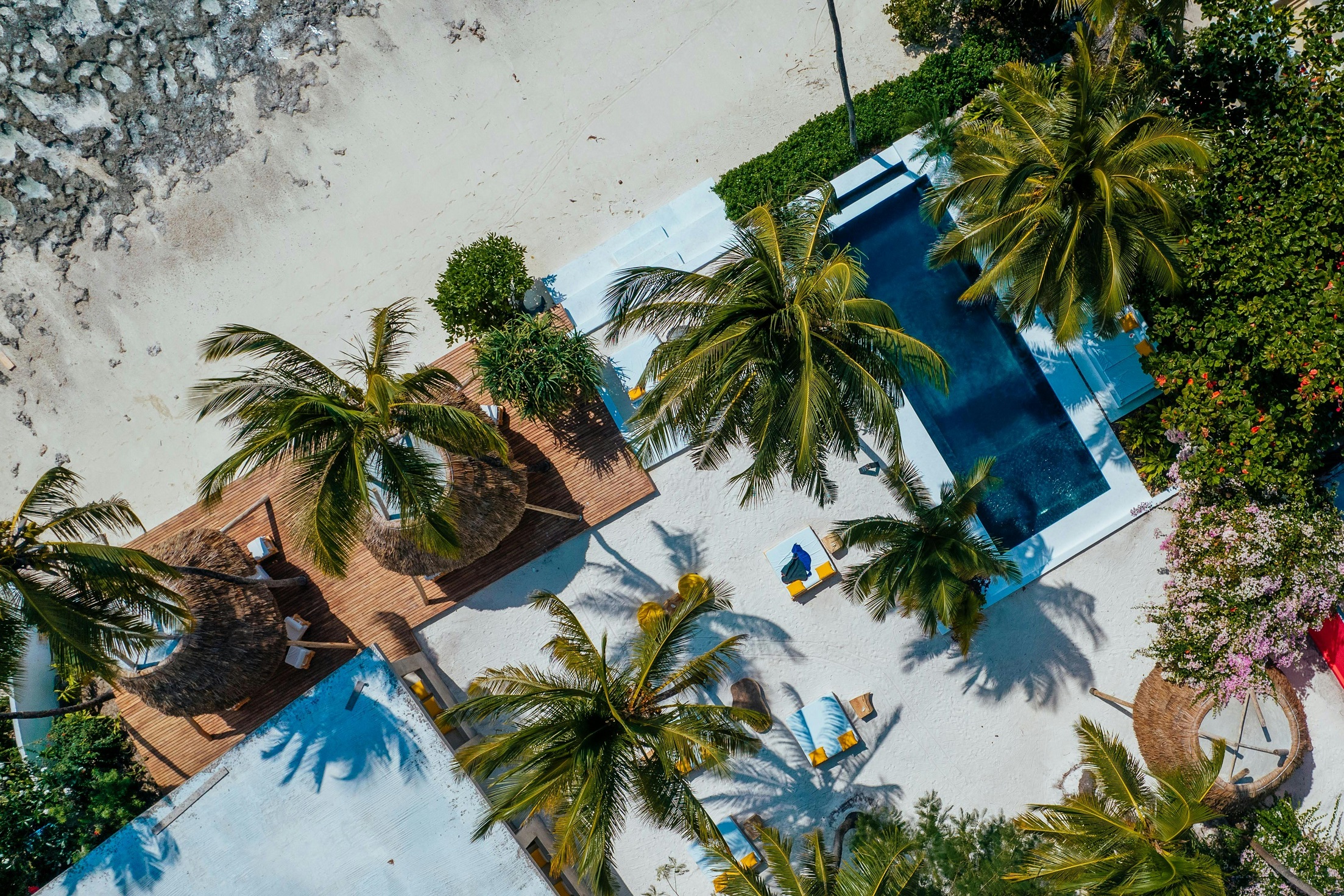 Zanzibar – The Island of Spices, History, and Pristine Beaches