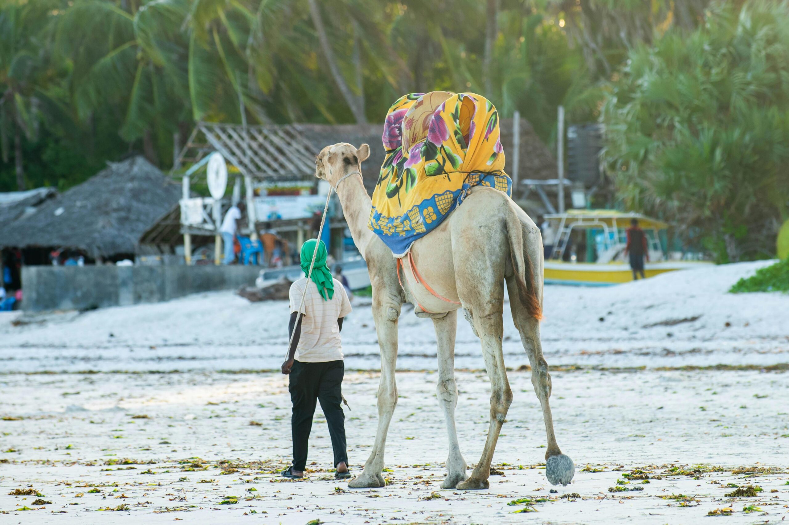 5 Unforgettable Beach Getaways Along Kenya’s Coastline