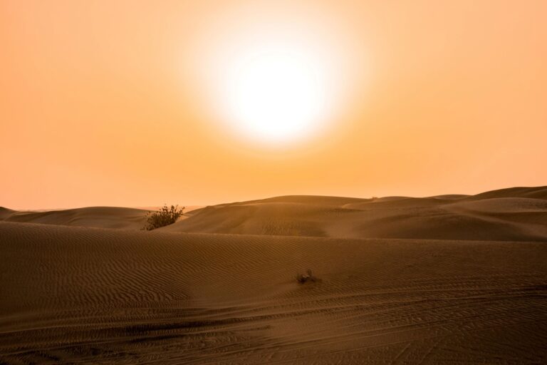 dubai sun